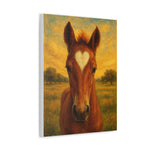 Horse Portrait Canvas — Heart Mark Foal Stretched Canvas Wall Art
