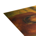 Postcard Bundles (envelopes included)
