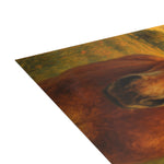 Postcard Bundles (envelopes included)