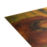 Postcard Bundles (envelopes included)