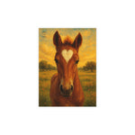 Postcard Bundles (envelopes included)